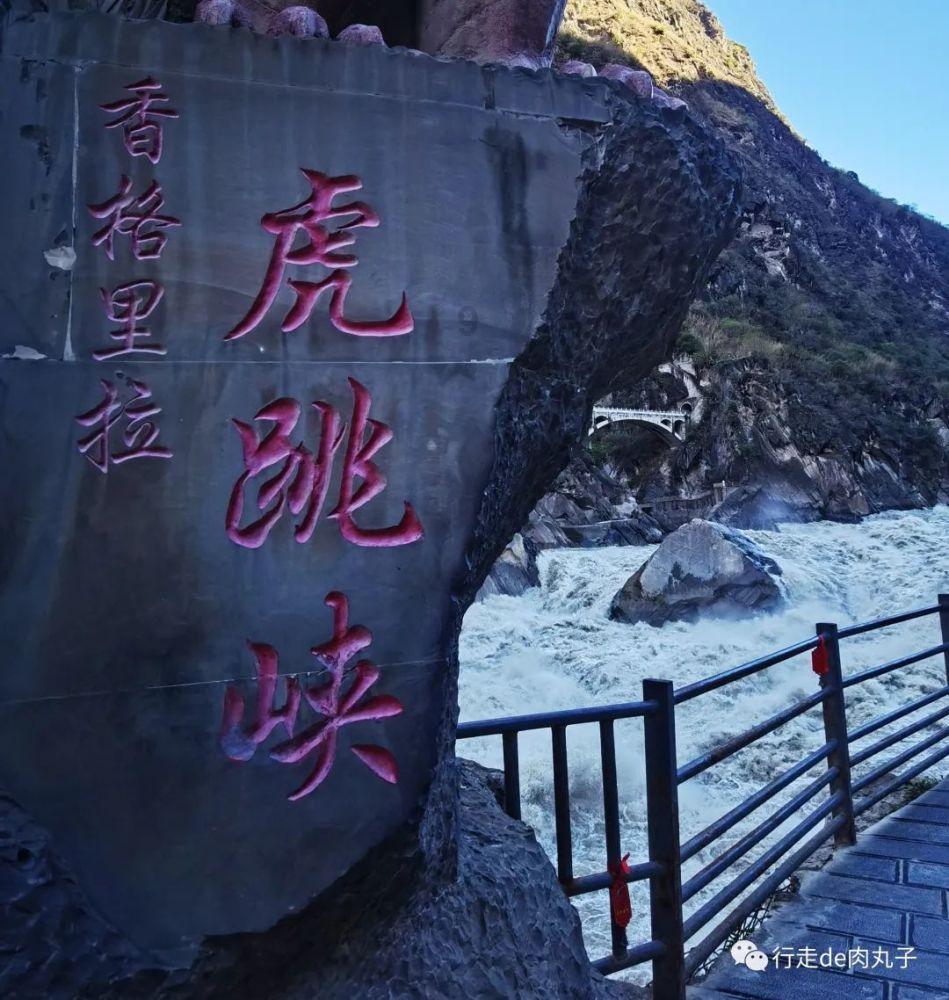 烟台绝密档案之1910年鼠疫大流行!曾致4万多烟台人死亡